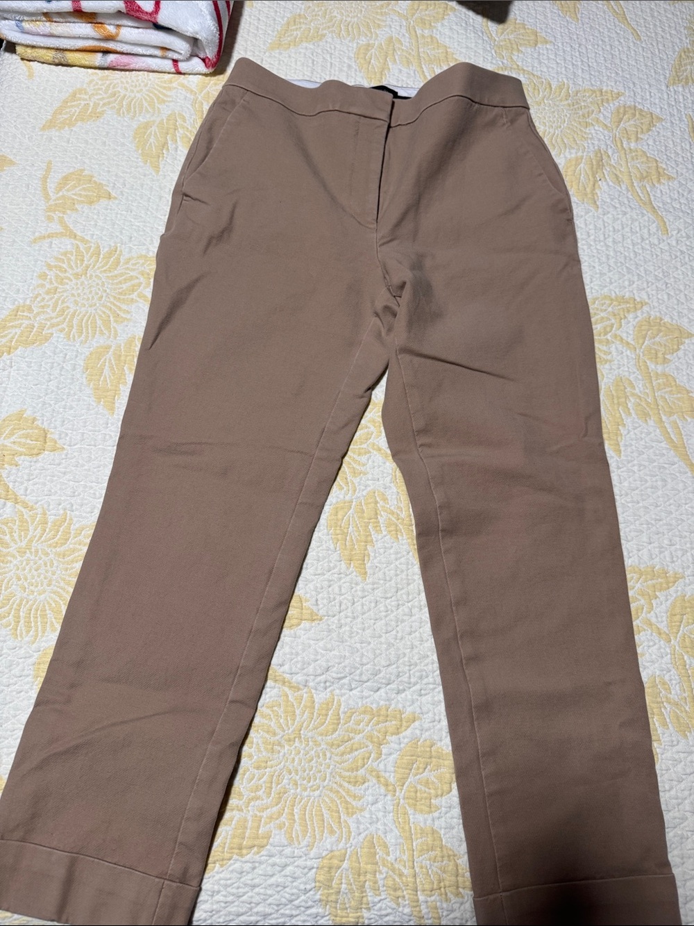 Ann Taylor Men's Chinos in Light Brown